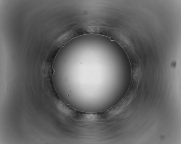 X0000102350233200808011211