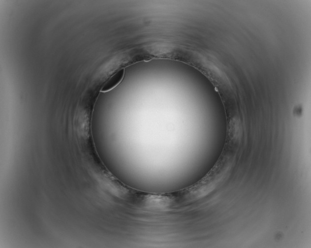 X0000102350234200808011211