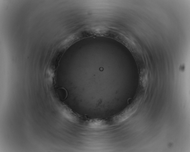 X0000102350235200808011211