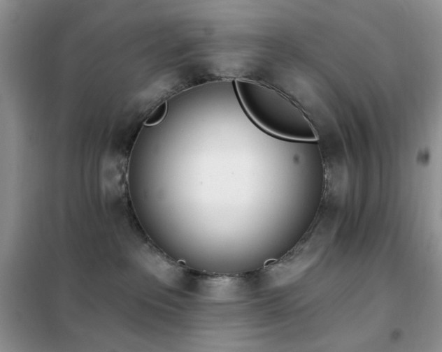 X0000102350237200808011211