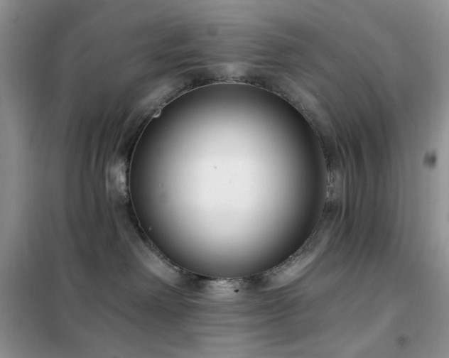 X0000102350238200808011211