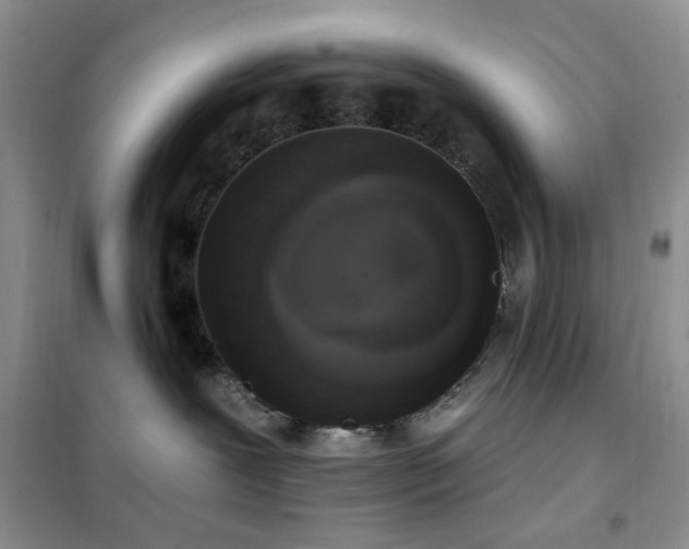 X0000102350239200808011211