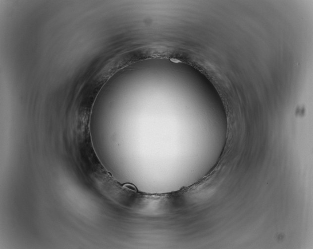 X0000102350240200808011211