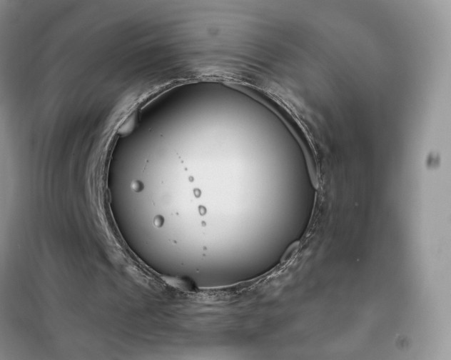 X0000102350241200808011210