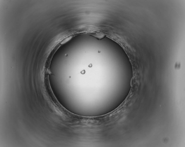 X0000102350242200808011210