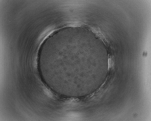 X0000102350243200808011210