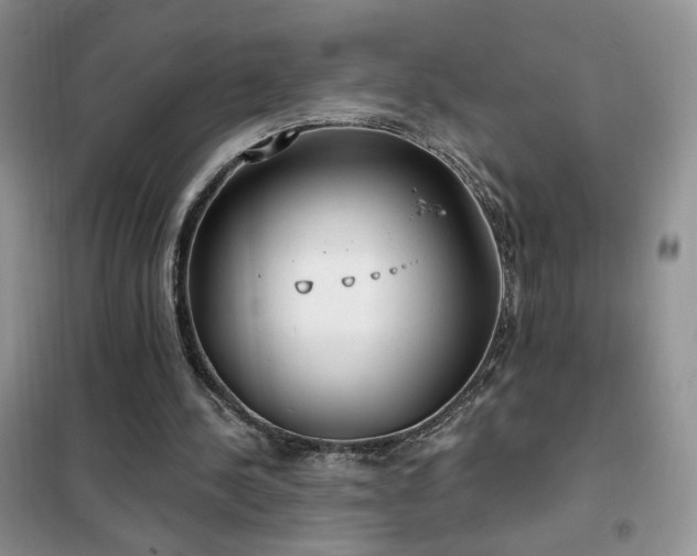 X0000102350244200808011210