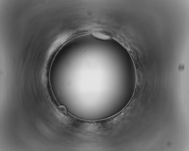 X0000102350245200808011210