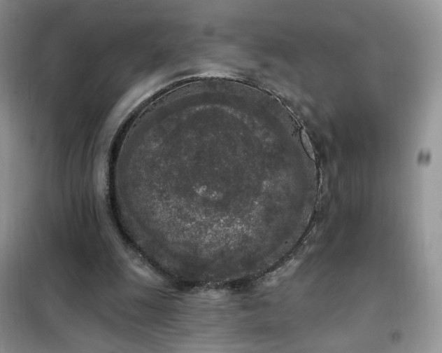 X0000102350247200808011210