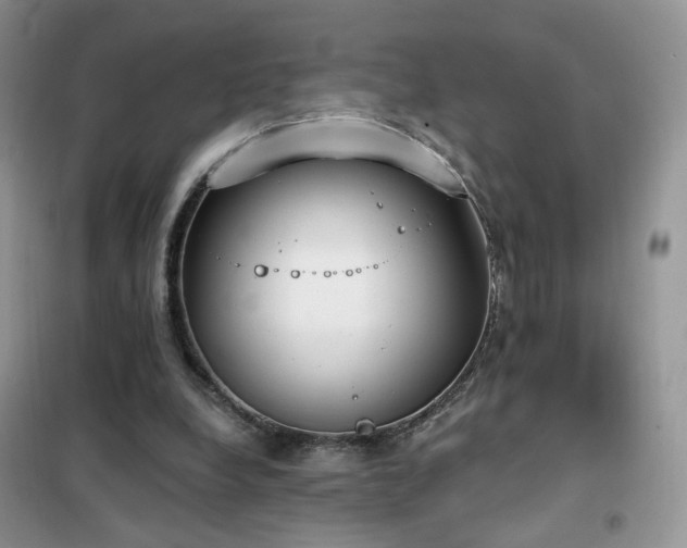 X0000102350248200808011210