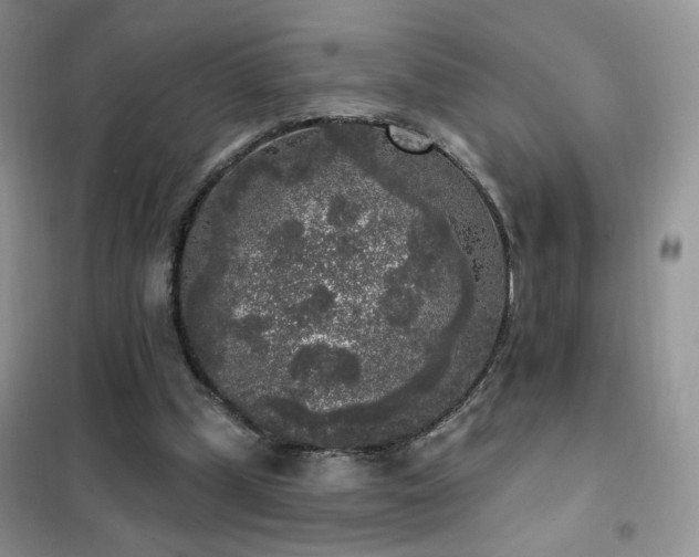 X0000102350249200808011210