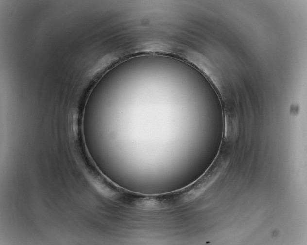 X0000102350253200808011210