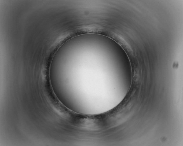 X0000102350255200808011210