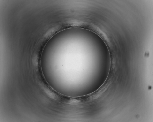 X0000102350257200808011210