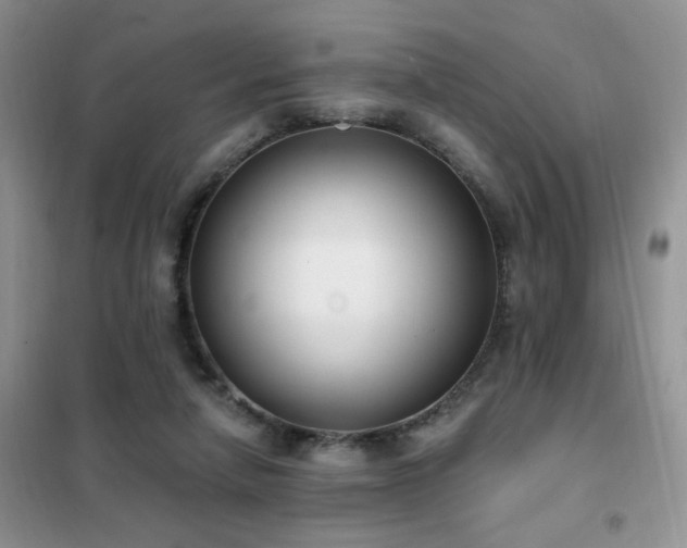 X0000102350258200808011210