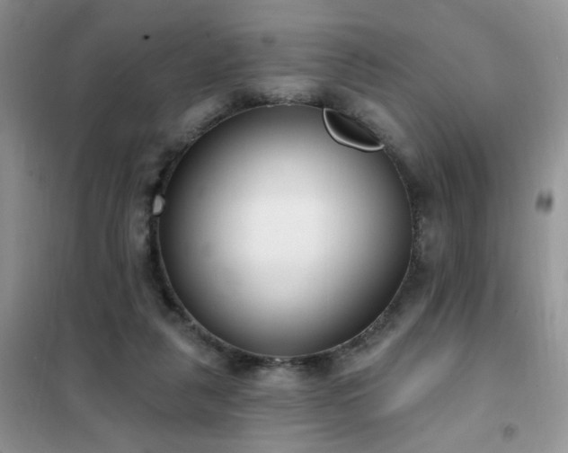 X0000102350259200808011210