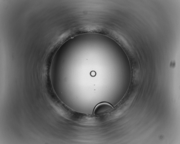 X0000102350260200808011210