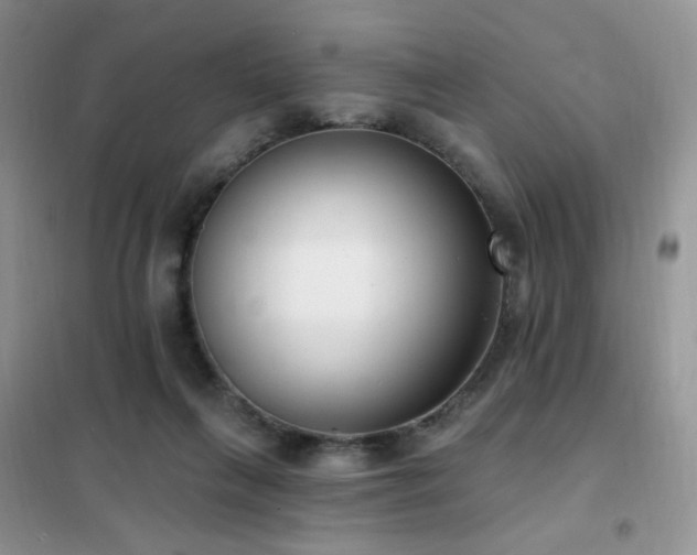 X0000102350263200808011211