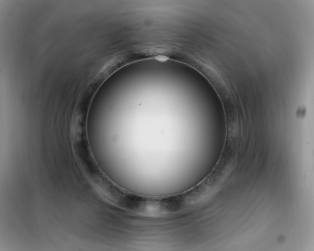 X0000102350264200808011211