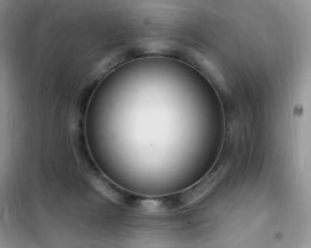 X0000102350265200808011211