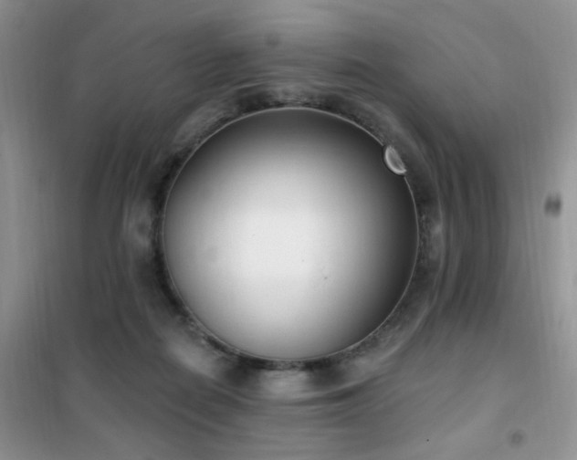 X0000102350266200808011211