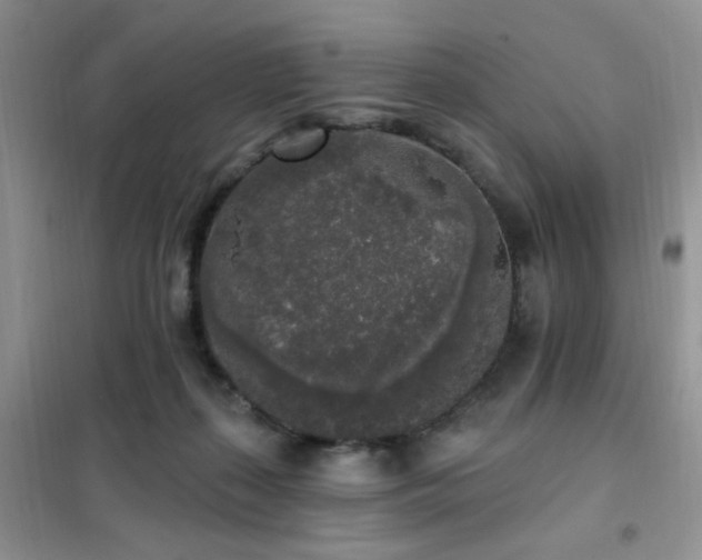 X0000102350267200808011211