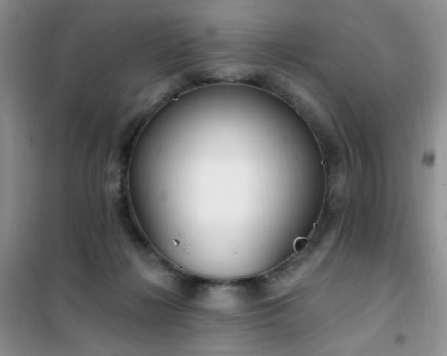 X0000102350268200808011211