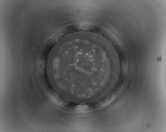 X0000102350271200808011211