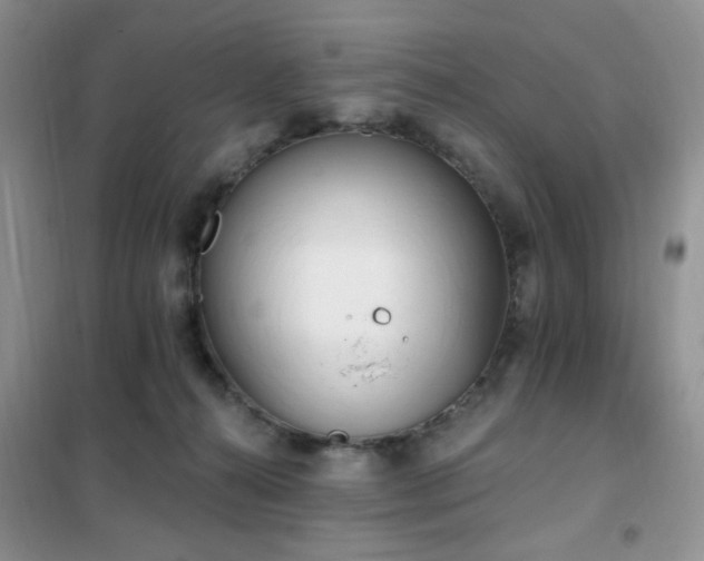 X0000102350272200808011211