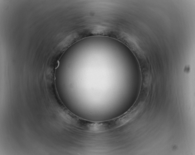 X0000102350273200808011211