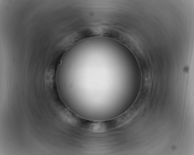 X0000102350275200808011211