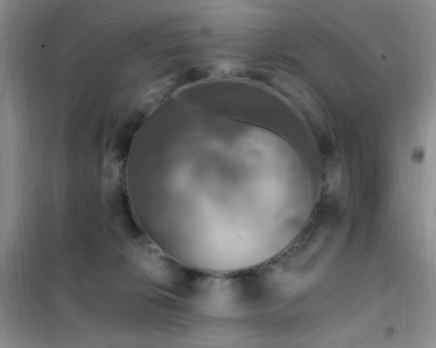 X0000102350276200808011211