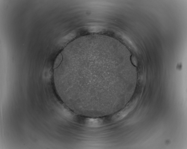 X0000102350277200808011211