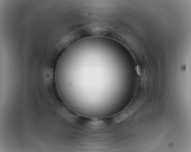 X0000102350278200808011211