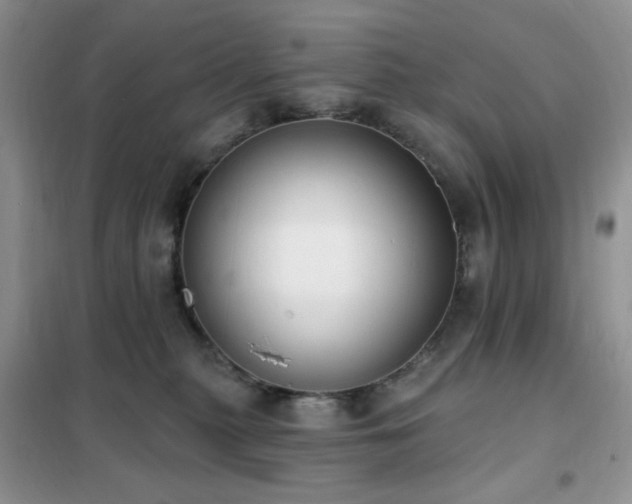 X0000102350279200808011211