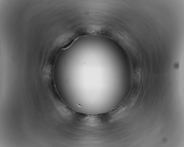 X0000102350280200808011211