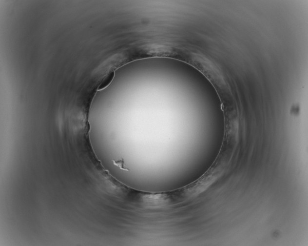 X0000102350281200808011211