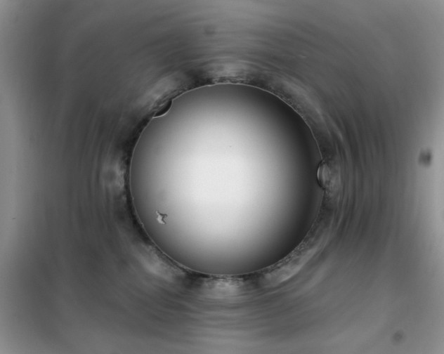 X0000102350282200808011211