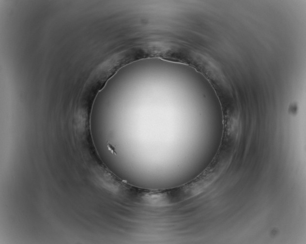 X0000102350283200808011211