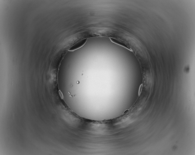 X0000102350284200808011211