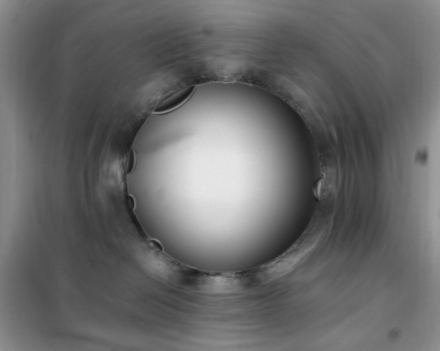 X0000102350286200808011211