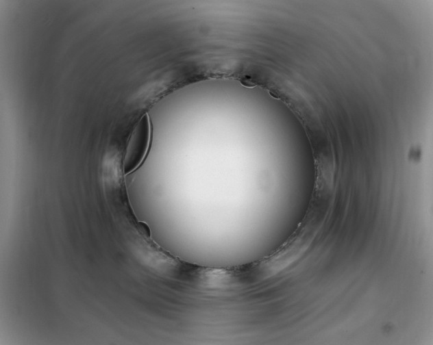 X0000102350287200808011211