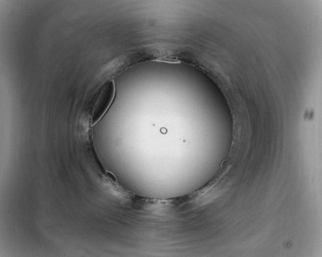 X0000102350288200808011211