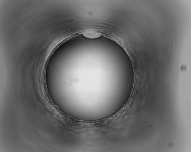 X0000102350289200808011210