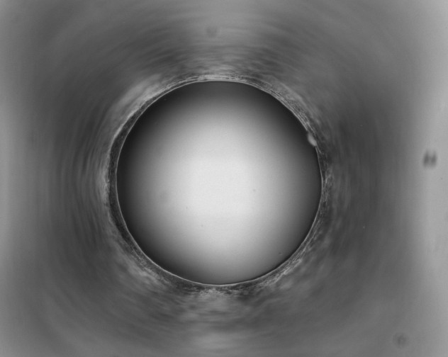 X0000102350290200808011210