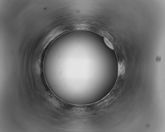 X0000102350291200808011210