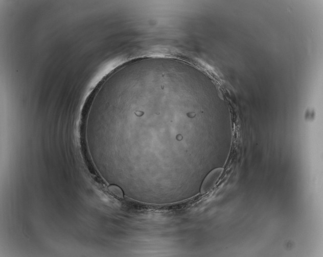 X0000102350292200808011210