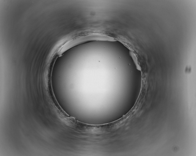 X0000102350293200808011210