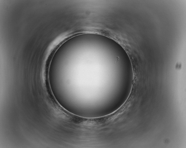 X0000102350294200808011210