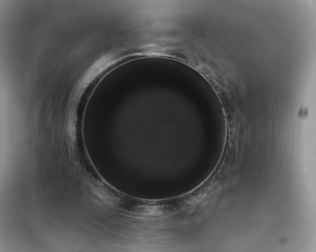 X0000102350295200808011210